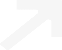 Vector