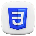 css icon