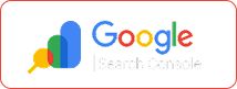 google-console logo